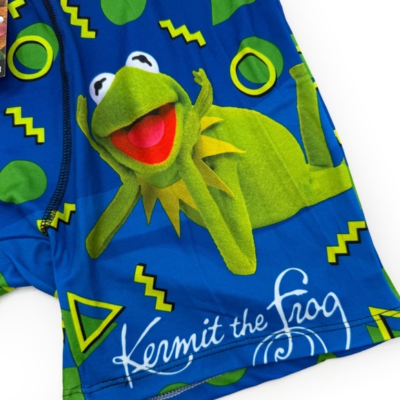 Disney The Muppets Crazy Boxer Briefs Mens Large Underwear Kermit the Frog Blue - Picture 4 of 8